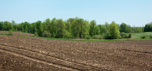 Cleared and Plowed Land