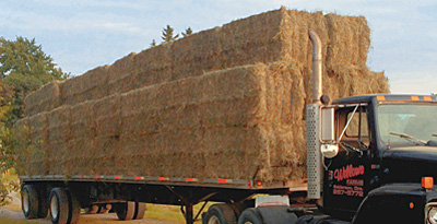 Hay Bales ready to deliver